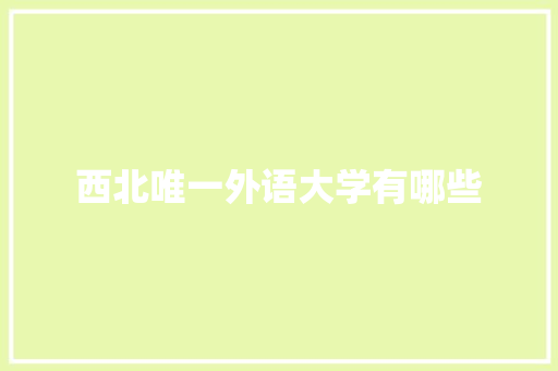 西北唯一外语大学有哪些 管理论文