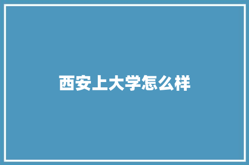 西安上大学怎么样 毕业设计