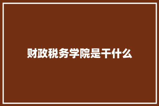 财政税务学院是干什么 简历
