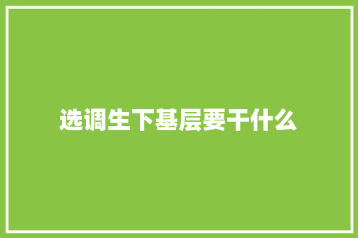 选调生下基层要干什么 表扬书