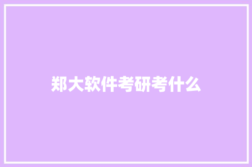 郑大软件考研考什么 论文