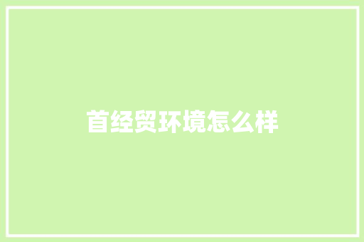 首经贸环境怎么样 计算机论文