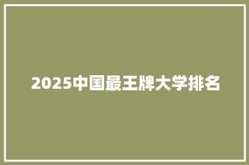 2025中国最王牌大学排名 文秘写作