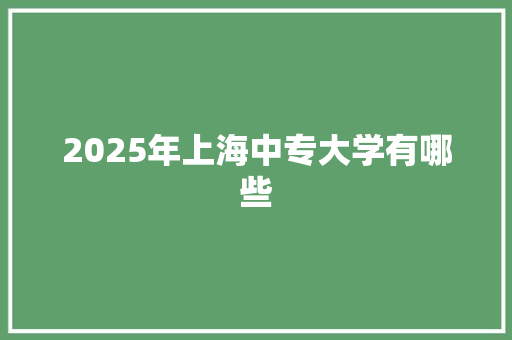 2025年上海中专大学有哪些 计算机论文