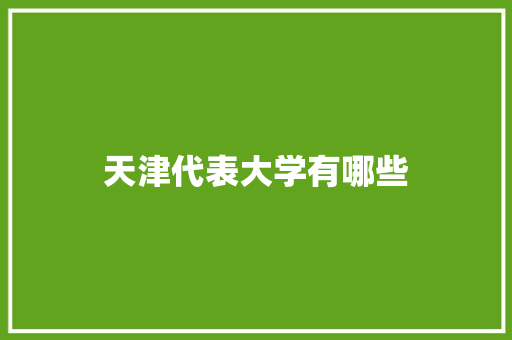 天津代表大学有哪些 策划方案