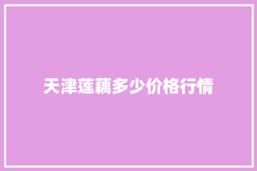 天津莲藕多少价格行情 表扬书