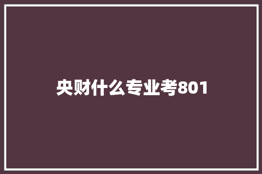 央财什么专业考801 社会论文