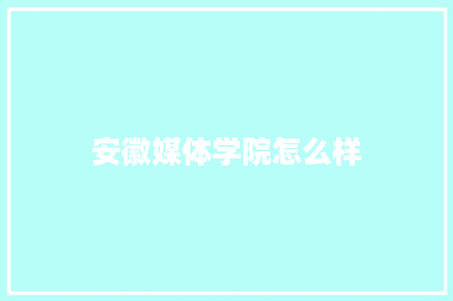 安徽媒体学院怎么样 公证书