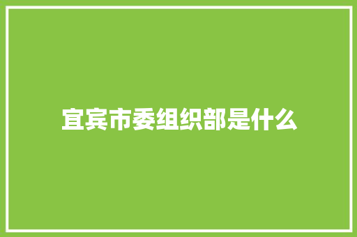 宜宾市委组织部是什么 论文