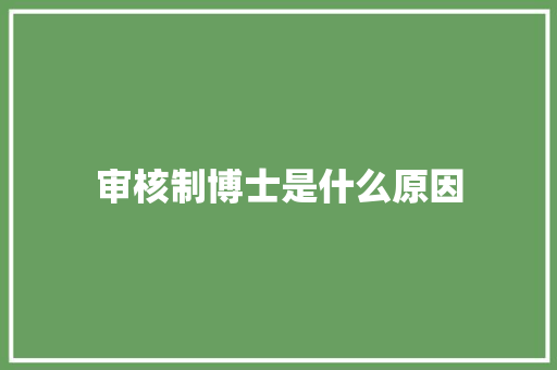 审核制博士是什么原因 论文
