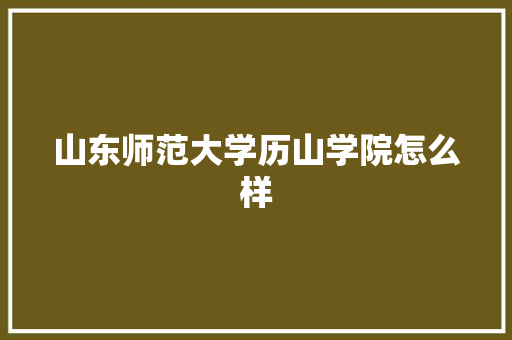 山东师范大学历山学院怎么样 办公写作