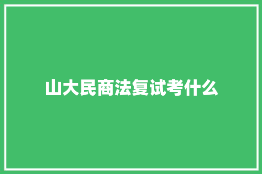 山大民商法复试考什么 办公写作
