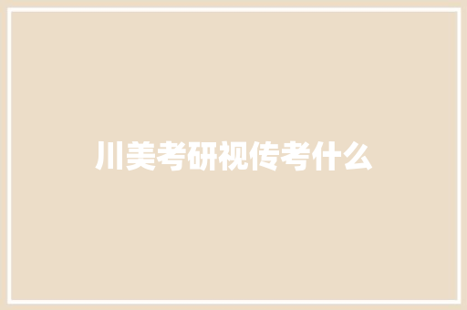 川美考研视传考什么 社会论文