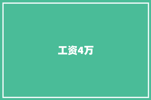 工资4万 个人简历