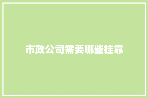 市政公司需要哪些挂靠 个人简历