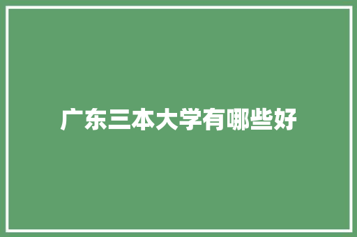 广东三本大学有哪些好 英文简历