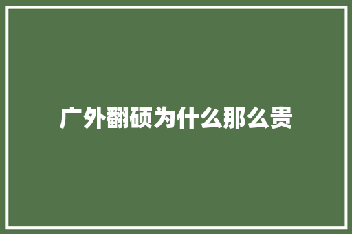 广外翻硕为什么那么贵 简历