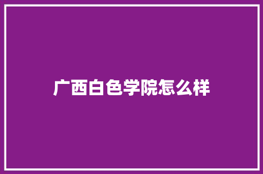 广西白色学院怎么样 计算机论文