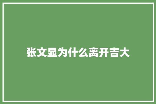 张文显为什么离开吉大 教育论文