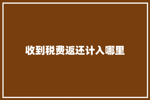 收到税费返还计入哪里 个人简历