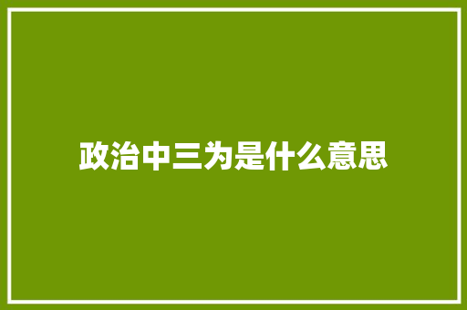政治中三为是什么意思 办公写作