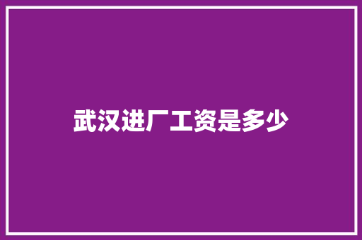武汉进厂工资是多少 计算机论文
