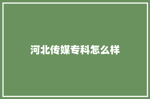 河北传媒专科怎么样 教育论文