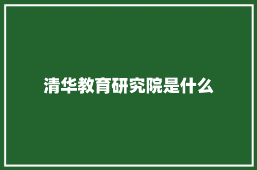 清华教育研究院是什么 个人简历