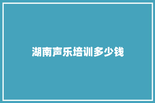 湖南声乐培训多少钱 文秘写作