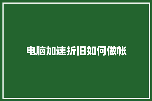 电脑加速折旧如何做帐 管理论文