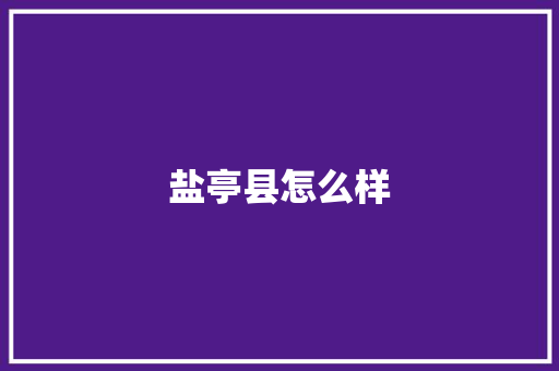 盐亭县怎么样 英文简历
