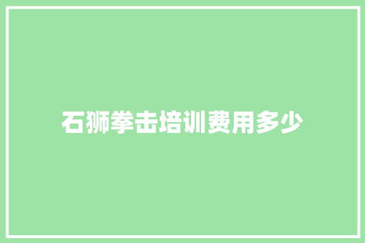石狮拳击培训费用多少 论文