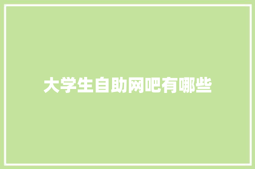 大学生自助网吧有哪些 计算机论文