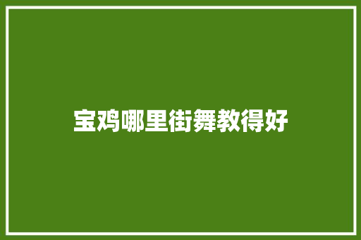 宝鸡哪里街舞教得好 个人简历