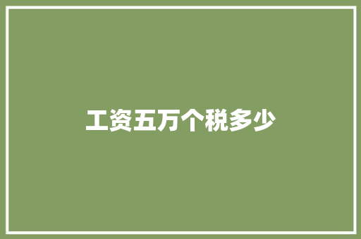 工资五万个税多少 计算机论文
