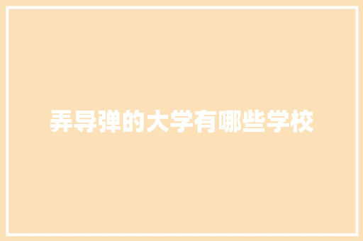 弄导弹的大学有哪些学校 计算机论文