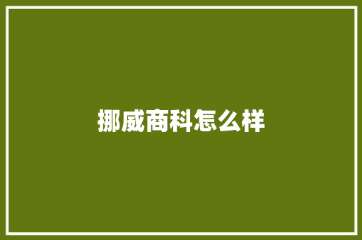 挪威商科怎么样 办公写作