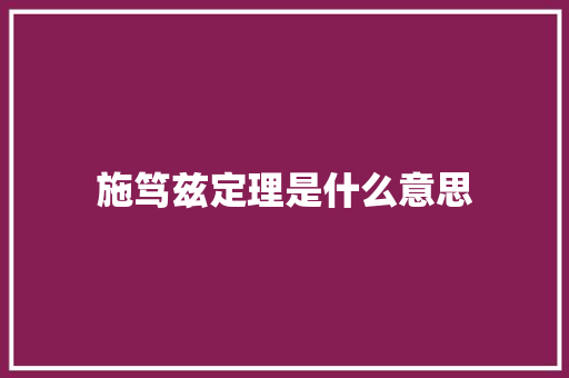施笃兹定理是什么意思 简历
