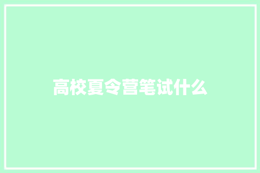 高校夏令营笔试什么 办公写作