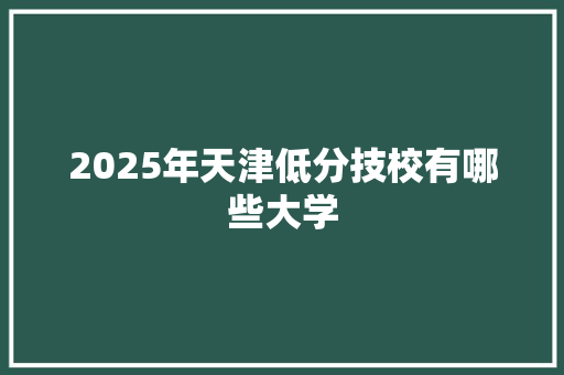 2025年天津低分技校有哪些大学 英文简历