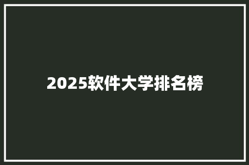 2025软件大学排名榜 管理论文