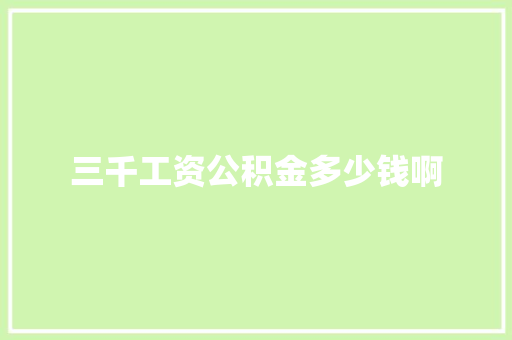 三千工资公积金多少钱啊 计算机论文