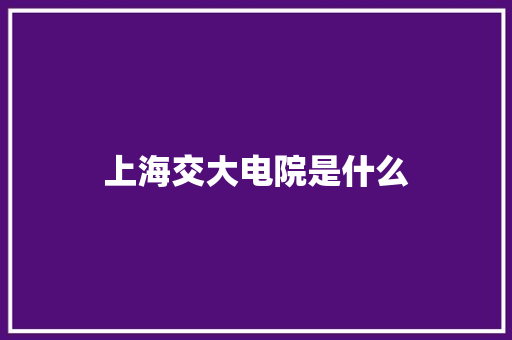 上海交大电院是什么 教育论文