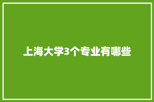 上海大学3个专业有哪些 计算机论文