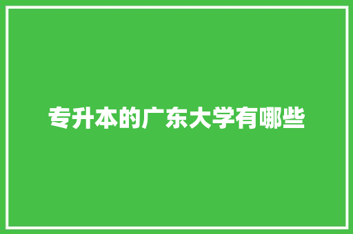 专升本的广东大学有哪些 社会论文