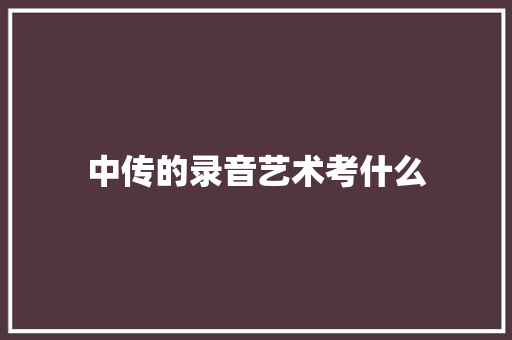 中传的录音艺术考什么 担保书