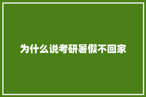 为什么说考研暑假不回家 计算机论文