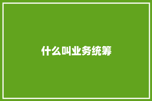 什么叫业务统筹 计算机论文
