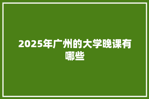 2025年广州的大学晚课有哪些 个人写作