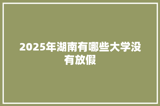 2025年湖南有哪些大学没有放假 简历